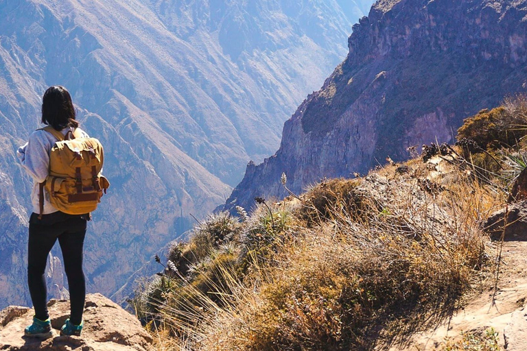 Au départ d'Arequipa : 2 jours au Canyon de Colca avec retour à ArequipaDepuis Arequipa : Circuit dans la vallée de Colca 2 jours