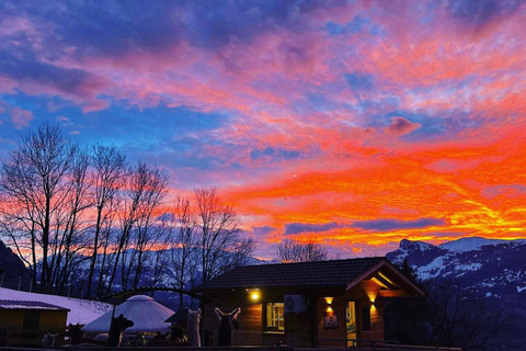Triesenberg: Vandra med lamor i bergen