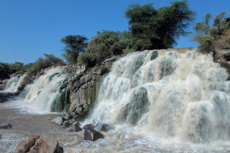 3-tägige Tagestour zum Awash National Park