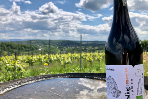 Krakow: Privat tur till lavendelfält och vinprovningKraków: Privat tur till lavendelfält och vinprovning