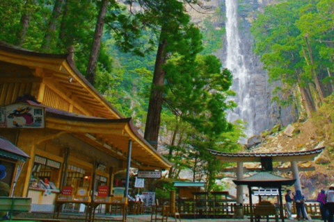 Osaka/Kyoto: Mount Koya &amp; Wakayama Privat dagsutflykt med guideRundresa från Osaka