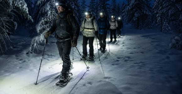 Kiruna: Arctic Night Snowshoe Adventure with Campfire