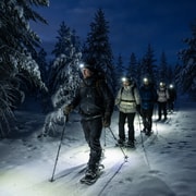 Kiruna : aventure nocturne en raquettes dans l'Arctique avec feu de camp