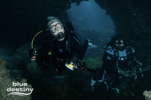 From Fremantle: Rottnest Island Snorkeling & Diving Day Trip
