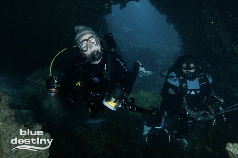 From Fremantle: Rottnest Island Snorkeling & Diving Day Trip