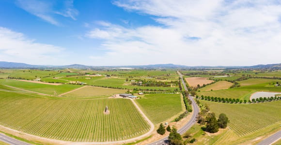 From Melbourne: Yarra Valley Wine Tour