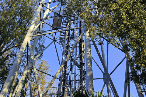 Wieża Branca i Zamek Sforzów - wycieczka z przewodnikiem