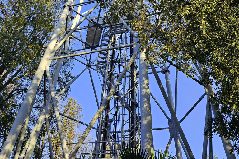 Wieża Branca i Zamek Sforzów - wycieczka z przewodnikiem