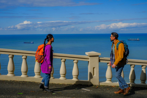 Batumi: Experiência Supra georgiana com moradores locais e almoçoBatumi: experiência georgiana com os locais e almoço