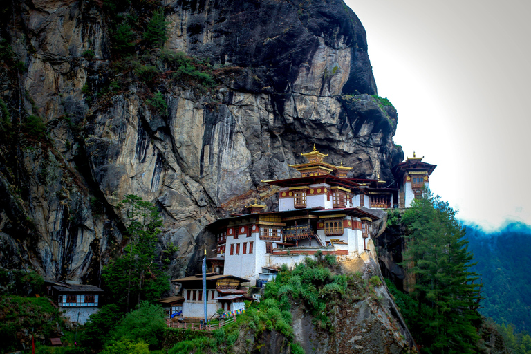 Exclusive Bhutan Travel Packages with Ambo Tours and Travels