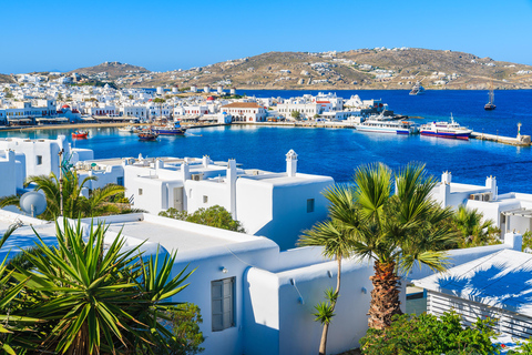 Mykonos: Privat tur till stranden