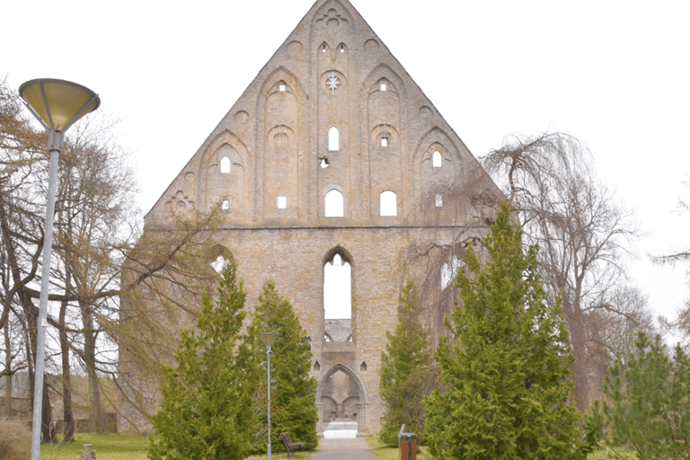 Tallinn: rondleiding langs de hoogtepunten voor cruisepassagiers