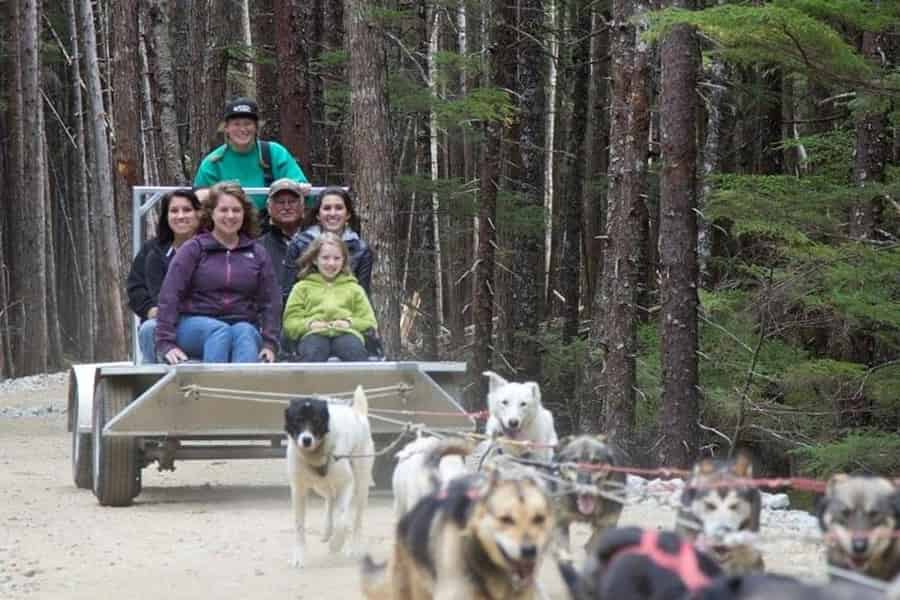 Skagway, Alaska: Musher's Camp® Hundeschlitten-Abenteuer. Foto: GetYourGuide Skagway, Alaska: Musher's Camp® Hundeschlitten-Abenteuer. Foto: GetYourGuide