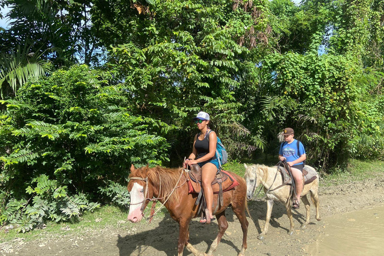 Puerto Plata: Horseback Tour of the Beach and Local Community