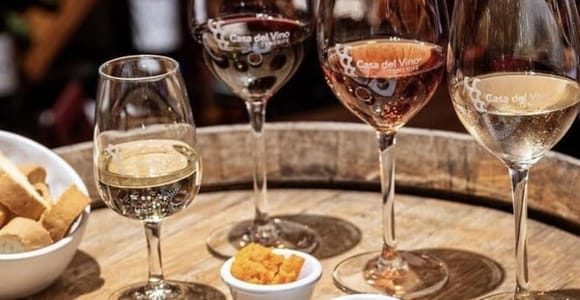 Málaga: Wine Tasting & 4 Tapas with 4 Local Wines