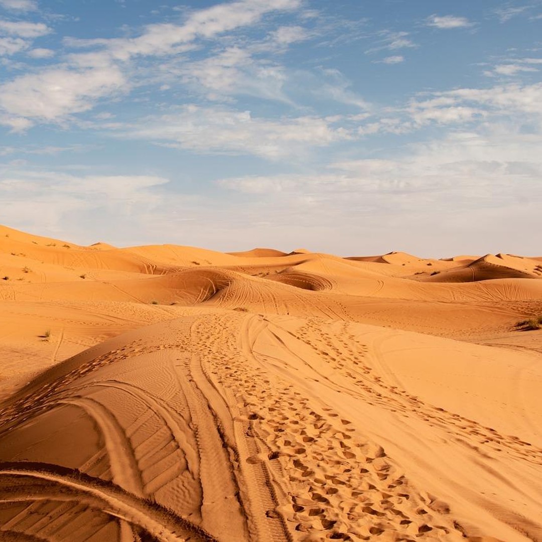 Au départ de Fès : 3-Jours 2-Nuits Circuit dans le désert à Marrakech - dromadaire