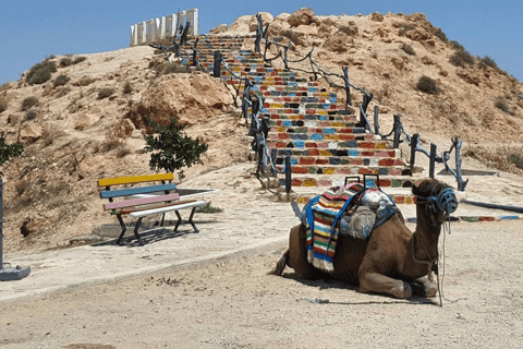 Avventura di un giorno nel Sahara: Djerba - Matmata