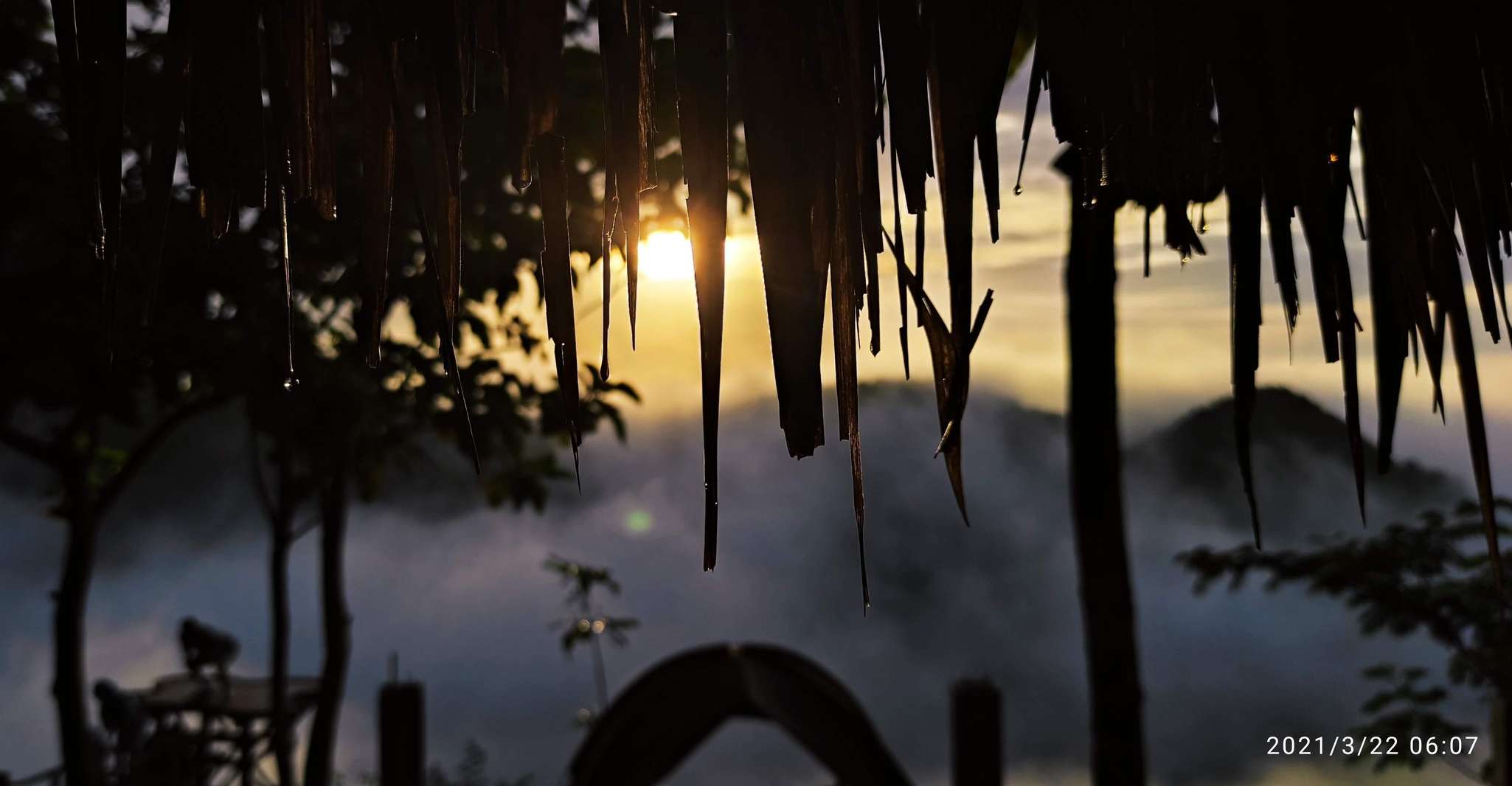 Sunrise Panguk Kediwung,Pine Forest & Timang Beach Tour - Housity
