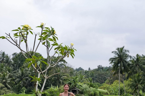 Bali: Private Jungle Swing, Waterfall & Rice Paddy Tour Private Tour with Entrance Fess