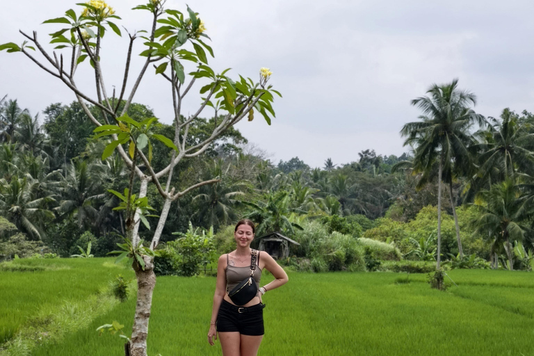 Bali: Private Jungle Swing, Waterfall & Rice Paddy Tour Private Tour with Entrance Fess
