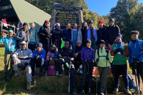 Kilimanjaro: Rongai Route 6-Day Hiking Adventure