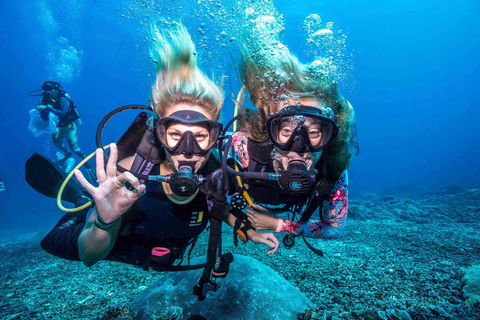 Alanya Scuba Diving Exprience w/Lunch & Transfer