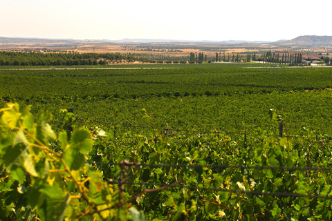 Toledo: Casa del Valle Winery Tour and Wine Tasting