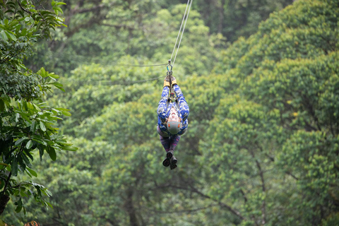 COSTA RICA:UPPTÄCK COSTARICAS VILDA DJUR-STRAND &amp; SKOG 2VECKOR