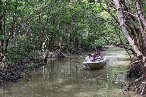 Ganztagestour durch den Mangrovenwald von Can Gio und die Affeninsel