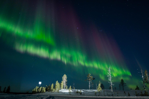 Rovaniemi: Aurora Hunt with 95% Success Rate, 4 people group Rovaniemi: Aurora Hunt with 95% Success Rate, PRIVATE