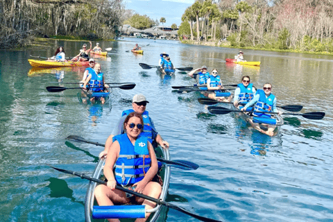 Silver Springs: Clear Kayak Wildlife Tour Sit On Top Kayak