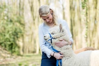 alpaca therapy and healing with clay - Housity