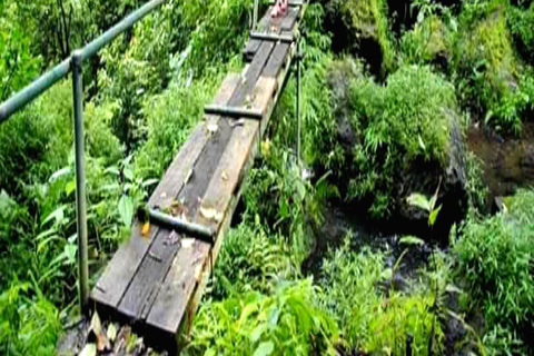 MUNDUK: Passeio de um dia de caminhada na selvaTour com traslado do hotel