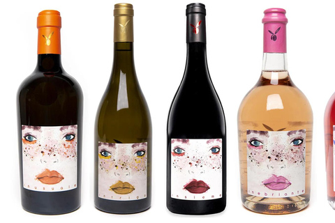 San Miniato: esperienza di degustazione di vino e olio extravergine di oliva biologiciSan Miniato: degustazione di vino e olio extravergine biologici