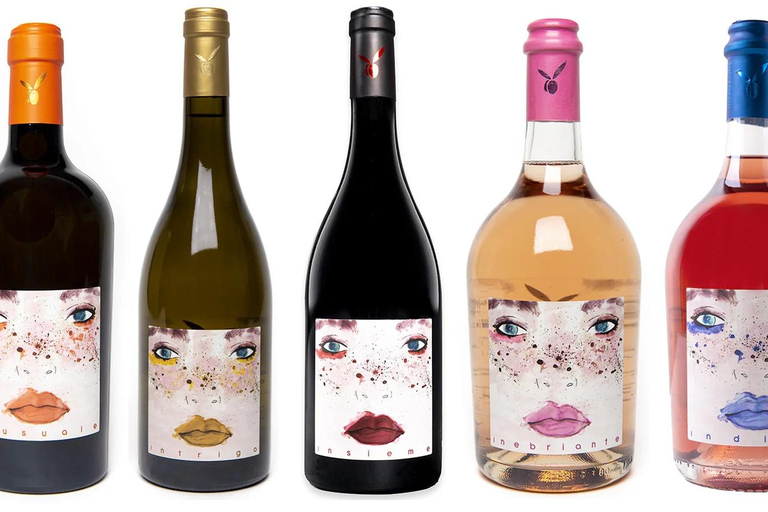 San Miniato: esperienza di degustazione di vino e olio extravergine di oliva biologiciSan Miniato: degustazione di vino e olio extravergine biologici