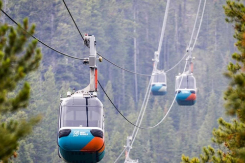 Banff: Gondola, sorgente calda, lago Minnewanka e tour Johnson