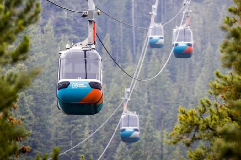 Vanuit Banff: Banff Gondola, Hot Spring, Lake Minnewanka Tour