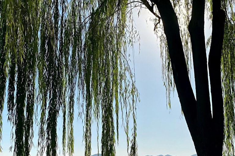 From Shanghai: One-Day Hangzhou Longjing Village Niche Tour