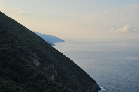 Cinque Terre: Minivan Private Tour Cinque Terre: Monterosso private minivan tour 8h
