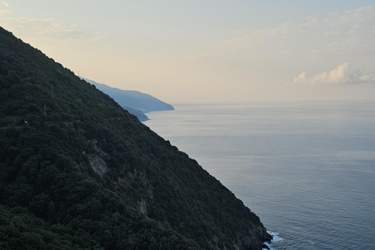 Cinque Terre: Minivan Private Tour Cinque Terre: Monterosso private minivan tour 8h