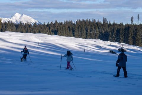 From Ljubljana/Bled: Beginner Snowshoe in Julian Alps From Bled - pickup at your accommodation