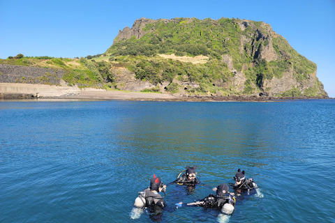 Jeju : expérience de plongée sous-marine près de Seongsan Ilchulbong