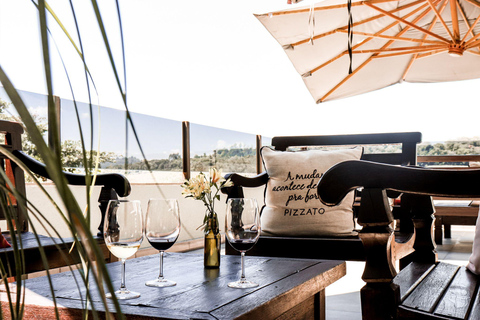 From Gramado: Vineyard Valley Wine Tour with Lunch and Tastings From Gramado: Premium Wines + Paired Lunch + Blind Tasting