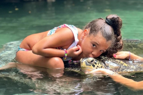 Zanzibar: Mnemba Dolphin Swim, Turtle Aquarium & Beach Trip TOUR WITHOUT HOTEL TRANSFER(PICK UP AND DROP OFF)