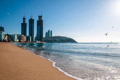 5-Day South Korea Tour: Seoul, Nami Island, Gyeongju, Busan