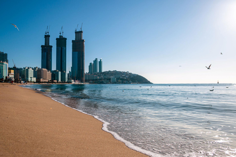 5-Day South Korea Tour: Seoul, Nami Island, Gyeongju, Busan