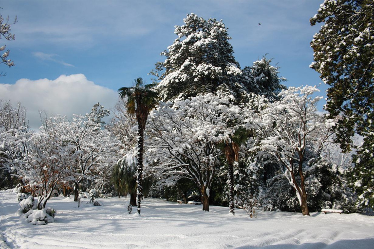 Mar Nero: Tour della spiaggia magnetica e del giardino botanico di Batumi