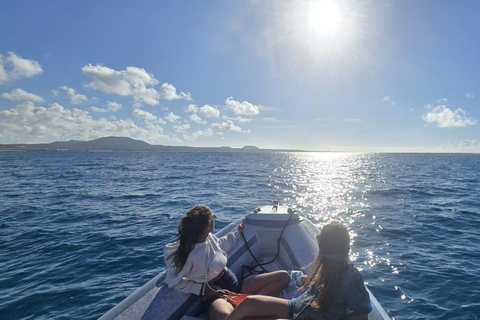 Isla de Lobos: Excursión guiada en busca de tortugas y snorkel