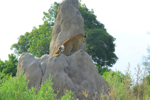 Botswana: explore the renowned okavango delta with us