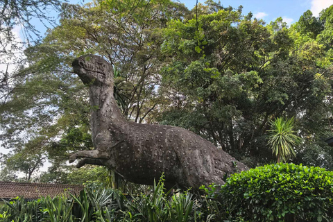 Nairobi: Michuki Park & National Museum Tour with Pickup